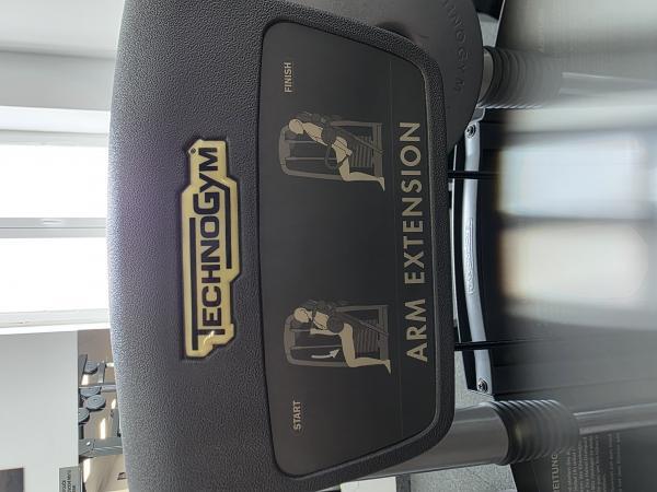 Technogym Arm Extension