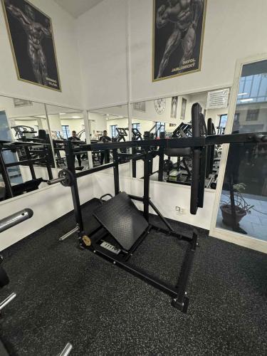 Z�novn� Pendulum squat