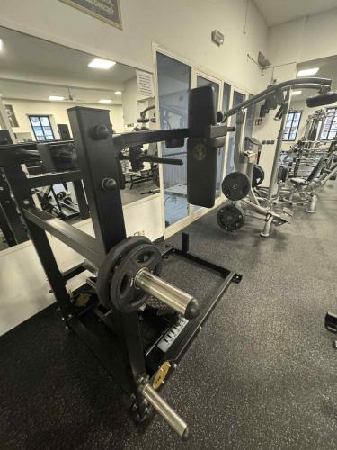 Z�novn� Pendulum squat
