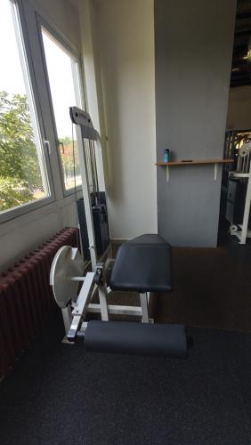 Life Fitness Strength � Lying Leg Curl / zakop�v�n� vle�e