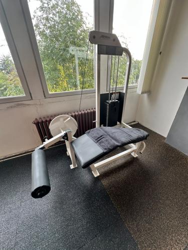 Life Fitness Strength � Lying Leg Curl / zakop�v�n� vle�e