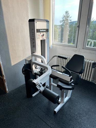 StairMaster LINEAR – Seated Leg Curl | zakopávání vsedě