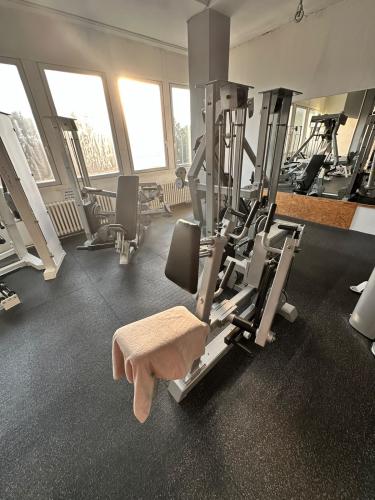 Gym80 DUAL SEATED ROW � profesion�ln� stroj na z�da