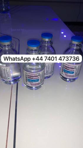Buy Nembutal Pentobarbital , Fentanyl , Tramadol +447401473736 Buy Nembutal Pentobarbital in UK, USA